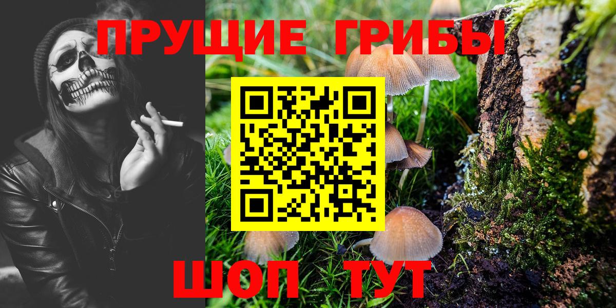 Псилоцибиновые грибы мухоморы Елец