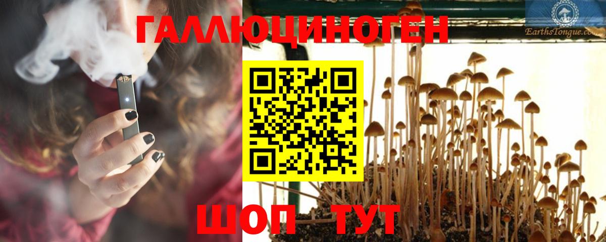 Псилоцибиновые грибы MAGIC MUSHROOMS  Галлюциногенные грибы Cubensis  Вход с VPN  Елец 